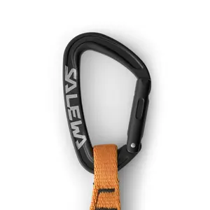Carabiner Salewa Ortles Str/bnt Qd image-2