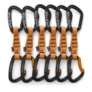 Carabiner Salewa Ortles Str/bnt Qd (x6) image-0