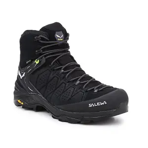 Turistické boty Salewa Ms Alp Trainer 2 Mid Gtx