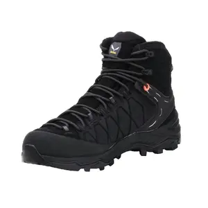 Chaussures de randonnée femme Salewa Ws Alp 2 image-1