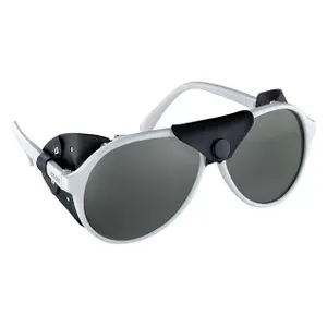 Glasses Salice 59G