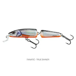 Δόλωμα Salmo Fanatic image-0