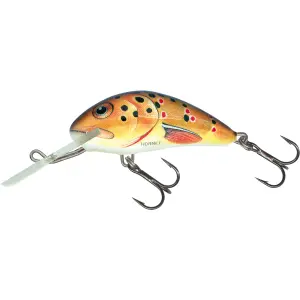 Lok Salmo H6F image-0
