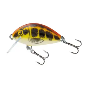 Πεταχτάρι επιπλέονσης Salmo Baby Minnow image-0