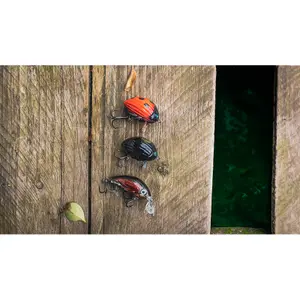 Lure Salmo Chub image-1