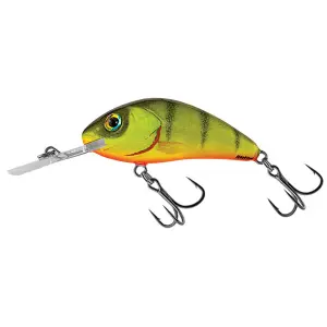 Lure Salmo H4 5F image-0