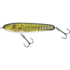 Δόλωμα Salmo Real Pike image-0
