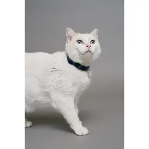 Denim halsband voor katten Salsa Jeans image-2
