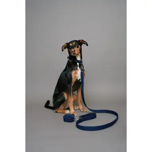 Hondenriem en denim met tasjeshouder Salsa Jeans image-1