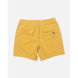 Shorts Salty Crew Seadog Volley image-1