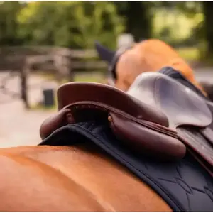 Tapis de selle pour cheval Samshield Spineshield Jump Embroidery image-1