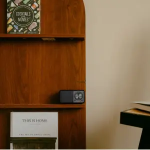 Enceinte Bluetooth Sangean WR7-Plus image-4