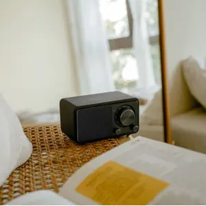 Enceinte Bluetooth Sangean WR7-Plus image-6