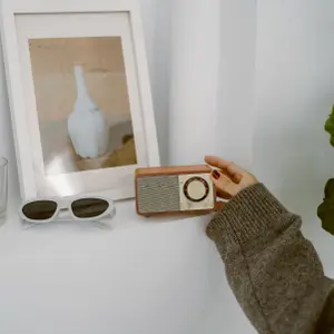 Enceinte Bluetooth Sangean WR7-Plus image-3