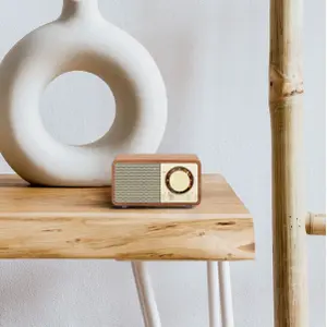 Enceinte Bluetooth Sangean WR7-Plus image-5