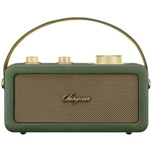sg-ra101-fg-wireless-fm-bluetooth-radio-aux-rechargeable-sangean-ra-101-green-one-size