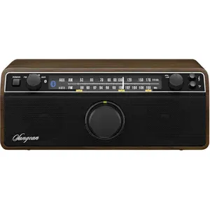 Desktop radio fm, am aux, bluetooth Sangean WR-12 BT image-0