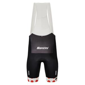 product/s/a/santini_re1075c322tdfkom_2.jpg