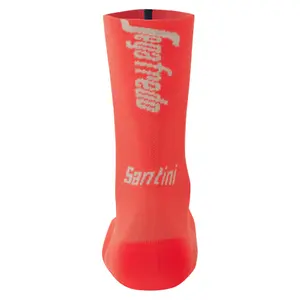 Közepes profilú zoknik Santini Trek Segadredo 2023 image-1