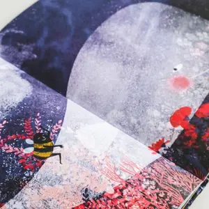 Children's book Sassi Devenir Reine image-3