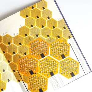 Children's book Sassi Devenir Reine image-4