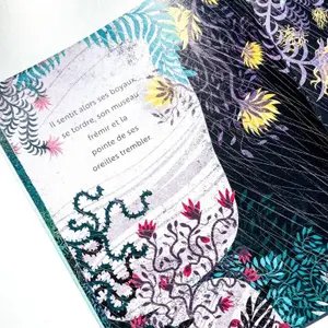 Children's book Sassi Une Peur De Loup image-4