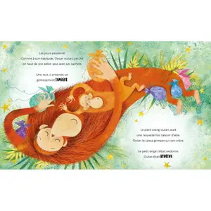 Children's book Sassi Une Jalousie D'Orang Outan image-1