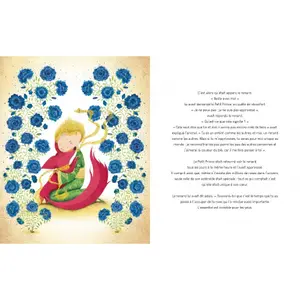 Children's book Sassi Le Petit Prince image-2