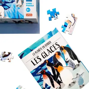 Children's book Sassi Les Glaces image-4