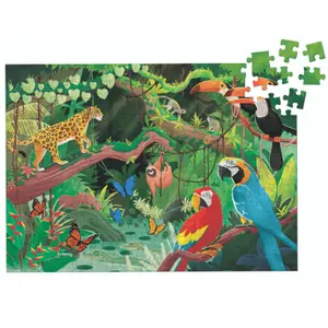 Children's book Sassi L'amazonie image-1