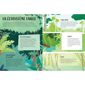 Children's book Sassi L'amazonie image-2