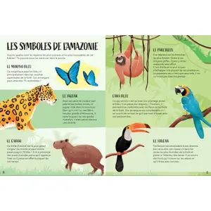 Children's book Sassi L'amazonie image-3