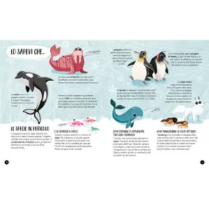 Children's book Sassi La Terre image-2