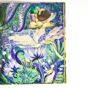 Children's book Sassi Un Bonheur De Poussin image-2