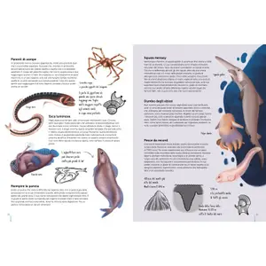 Children's book Sassi Mers Et Oceans image-2