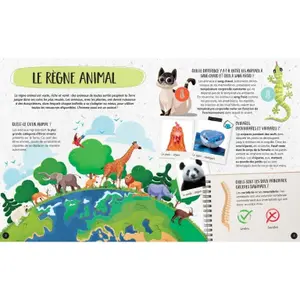 Children's book Sassi Les Animaux image-1