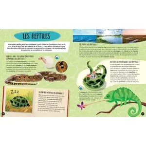 Children's book Sassi Les Animaux image-2