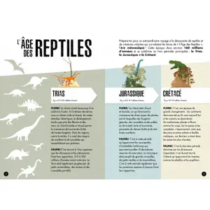 Construction games Sassi Le Pteranodon image-3