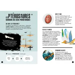 Construction games Sassi Le Pteranodon image-4