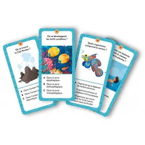 Le coffret de la mer children's book Sassi Mega Atlas image-0