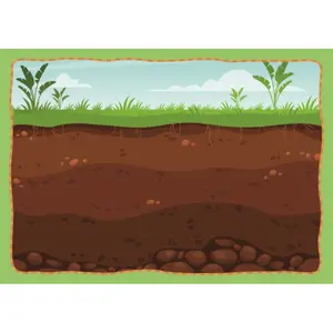 Children's book Sassi Les Dinosaures image-4