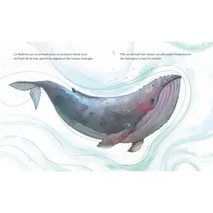 Children's book Sassi La Baleine Qui Se Prenait Pour Un Poisson image-1