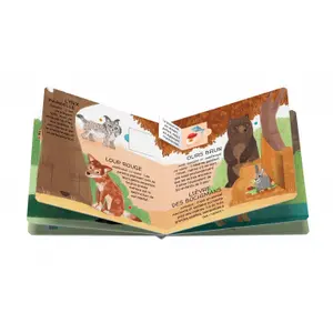 Children's book Sassi La Foret image-1