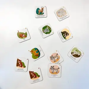 Children's book Sassi La Foret image-4