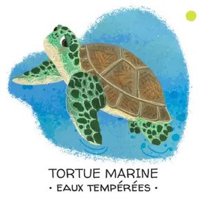 Children's book Sassi Mers Et Oceans image-4