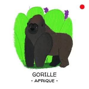 Children's book Sassi La Forêt Tropical image-4