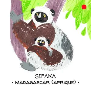 Children's book Sassi La Forêt Tropical image-3