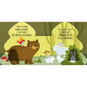 Children's book Sassi Les Amis De La Foret image-1