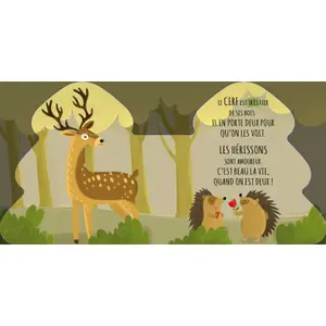 Children's book Sassi Les Amis De La Foret image-3