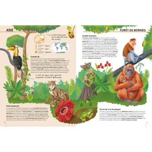 Children's book Sassi Ecosystemes A Proteger image-3